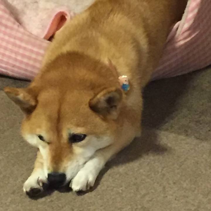 31ec3e11 562f 405e ad73 978b244b4c65