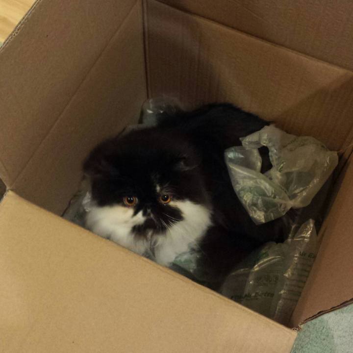 31ec5570 6582 498d 9a2b a1bb95ab2fba