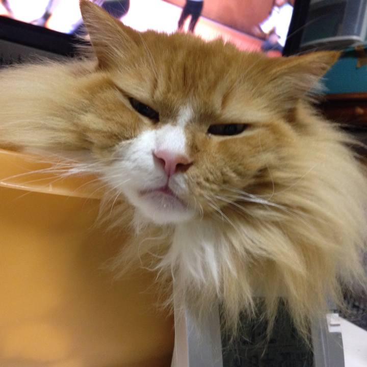 31ec7456 48d6 4e90 bd57 0bab17483692