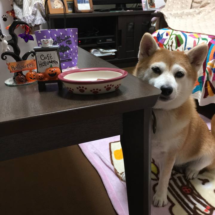 31ed1bee f8df 438f ab2a 62899c82e6ca