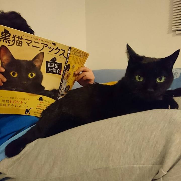 31ed32e3 ca94 4e3a be45 e515143dbeb7