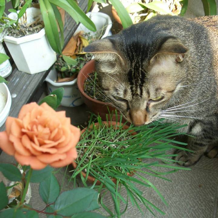 31ed6f87 6be5 4dd2 b394 3d64520e9702