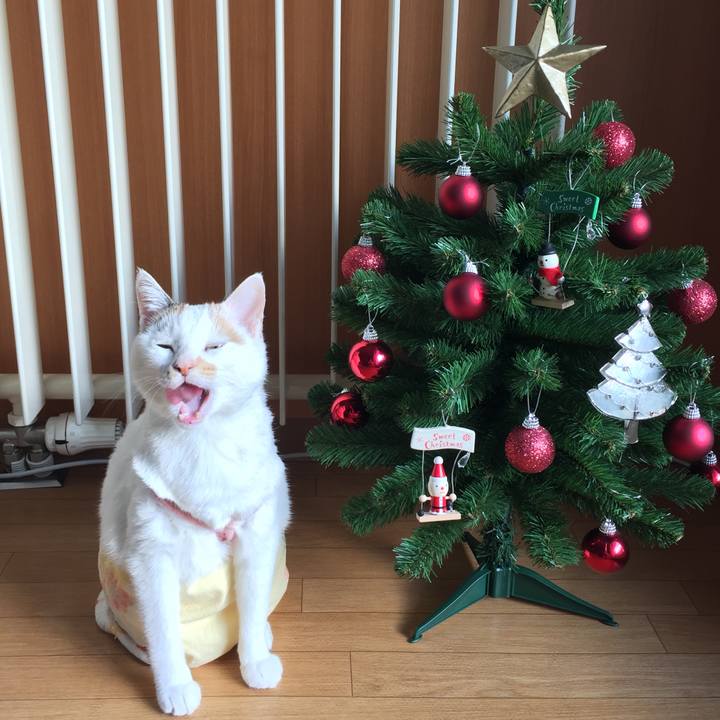 31edd90e 6ac6 4914 b645 201b6b43e27d