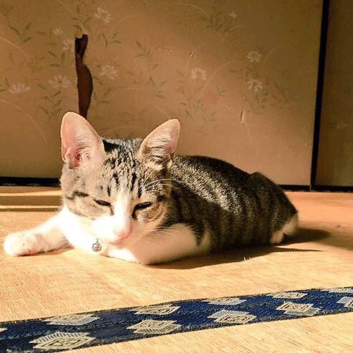 31edecd3 8d00 4aa6 a6ed 47f872ab6696