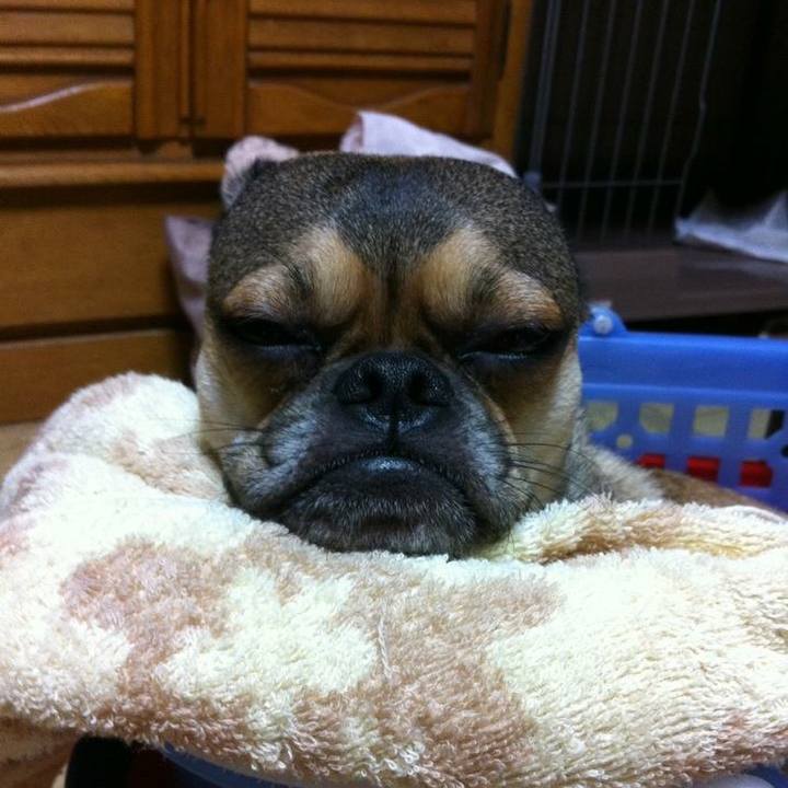 31edf4ae 7aef 4a4f b9e6 81aeedd9623c