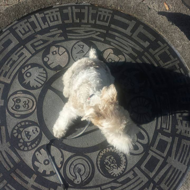 31ee290d f22d 442a 839d b575e4118863