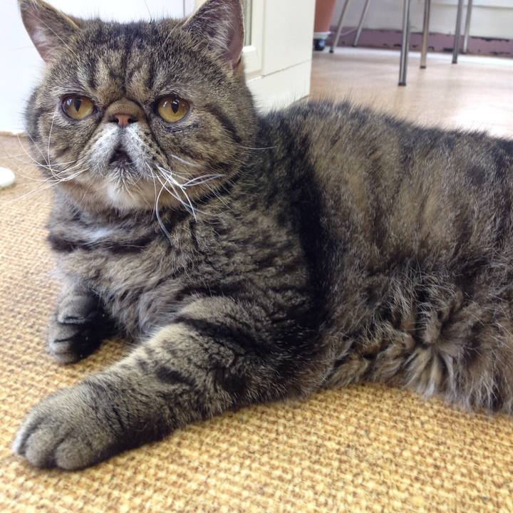 31ee818b 7e21 4d5c a69a 75c9b8639d6a