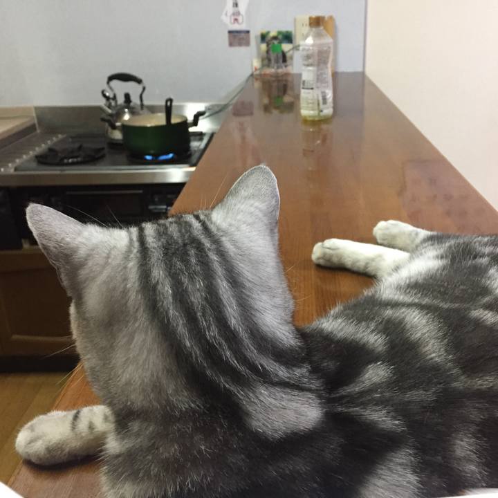 31eebf80 95f2 4ad8 b936 2f492ef63555