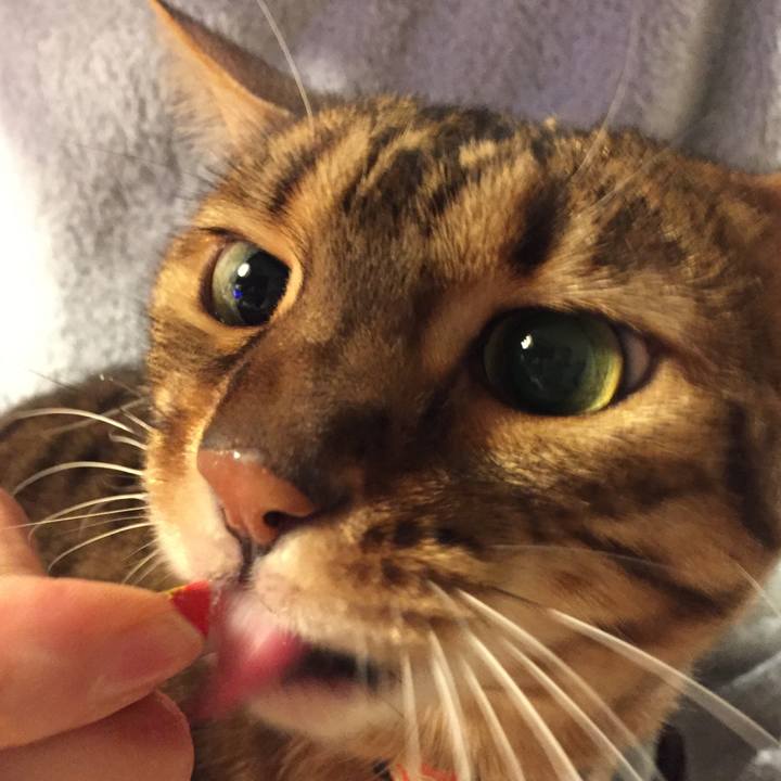 31eedaa6 2f3c 435b a53c 029bb783a71b