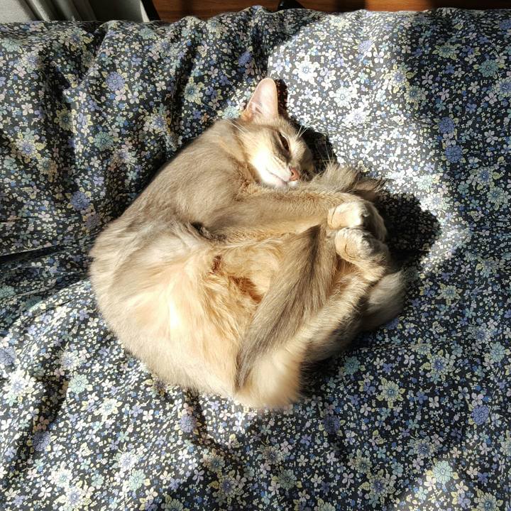 31ef1146 0337 4cd4 adb0 54d7509c7a65