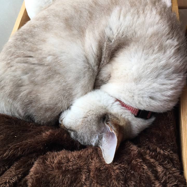 31eff4bb 5594 4661 b92d ce05859485bd