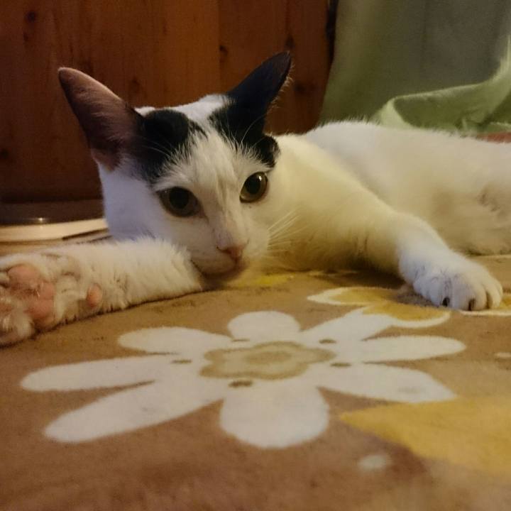 31f02aa1 f14b 465e a0a7 e9744e284f4b