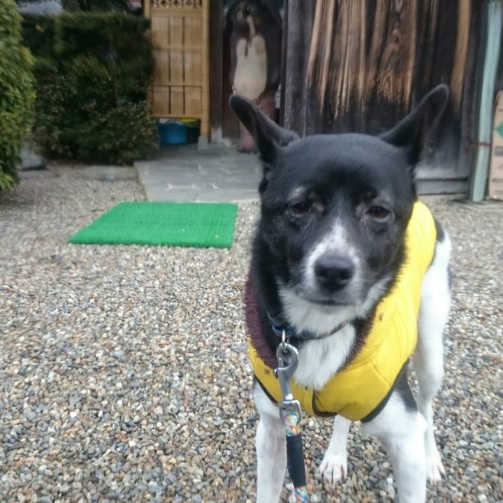 31f069dc 79f4 48dd a935 c0fa68d3b5cd