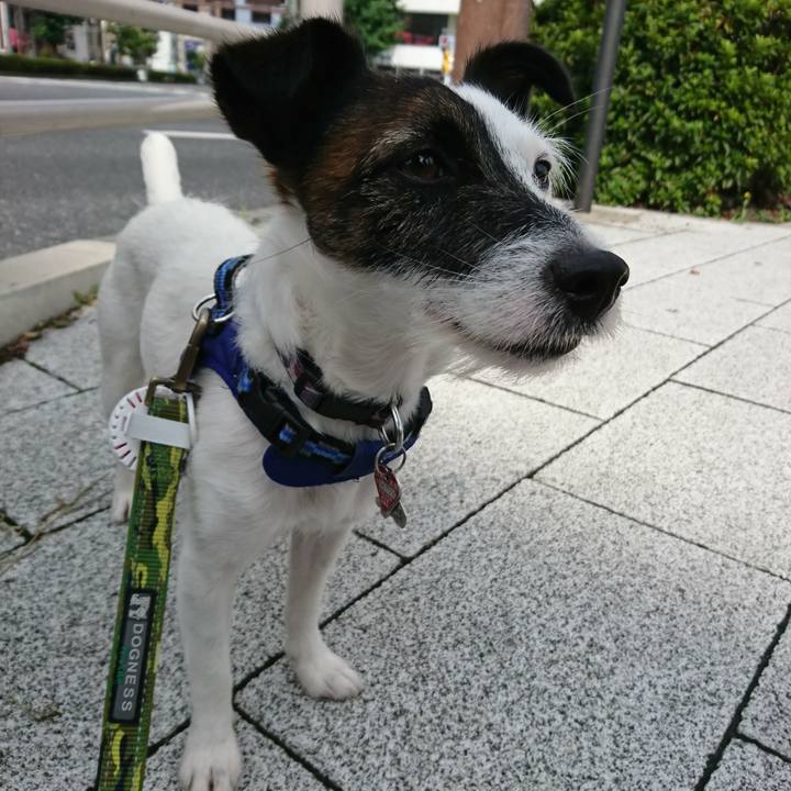 31f0fd47 5915 4517 9dd8 294dee2b7341