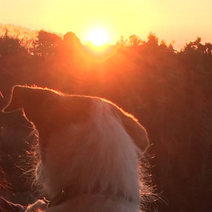 31f109fd a249 44cf a445 46a49dc1b958