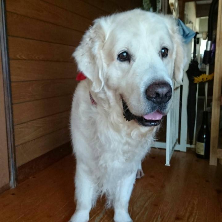 31f1a85c c93b 4c9f a55c dc5626eaa619