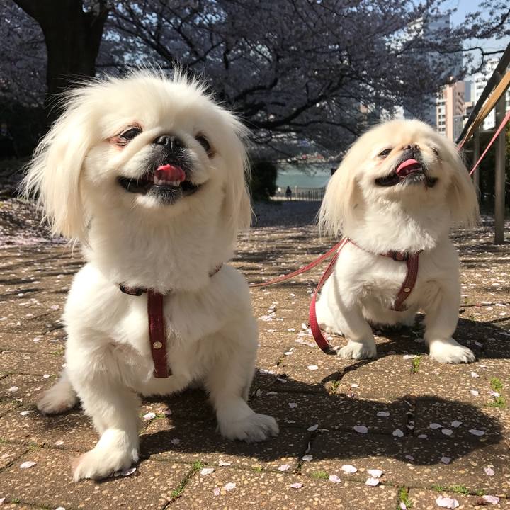 31f201a3 04e0 4cf2 b22d 804a9cab7169