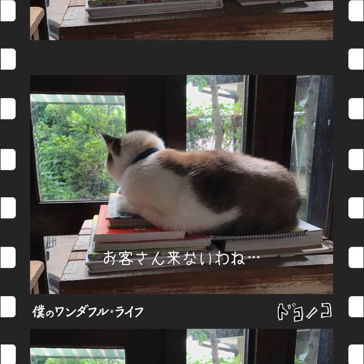 31f21f80 b8ba 4c84 9d8c f6686db8b414