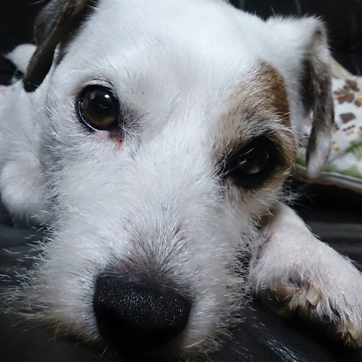 31f326f8 e844 4f02 88b9 fab9c813fcec