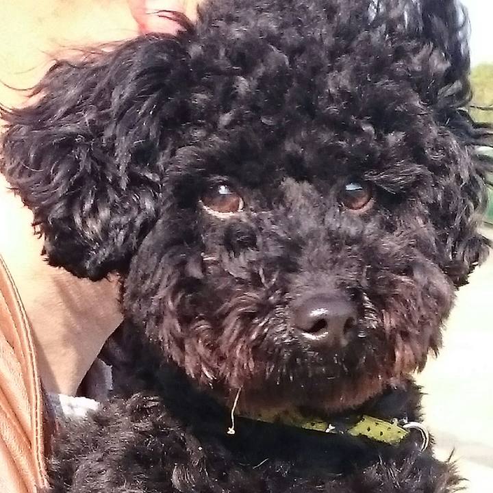 31f342ec fef5 4b87 ac73 670886a5858b