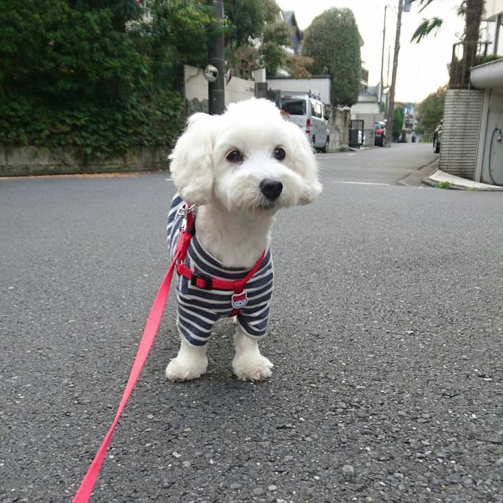 31f3dabb b89d 433e 96cd 0ad03598fbc4