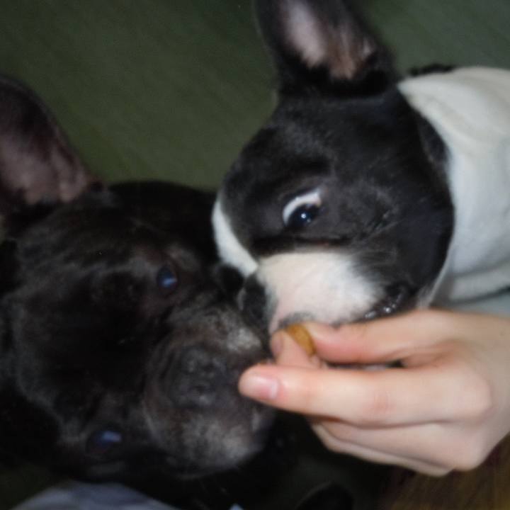 31f3fed6 6876 4180 bc47 c40b19bc6614