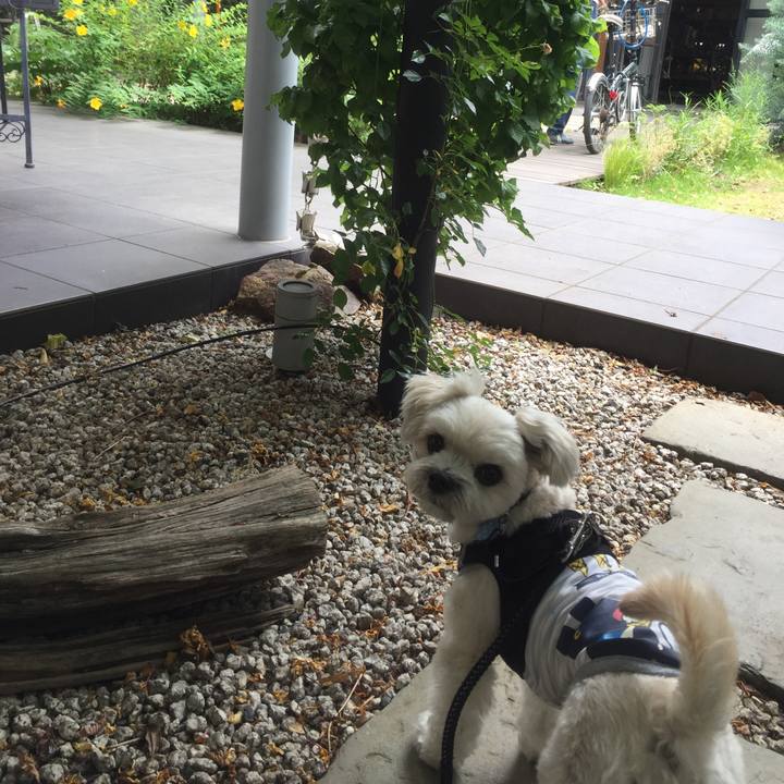 31f478e9 4cb3 4f4b 89d2 8b67be341b88