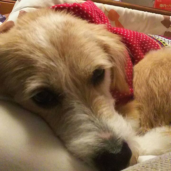 31f49639 b4ed 496d a1a2 9a303776be10