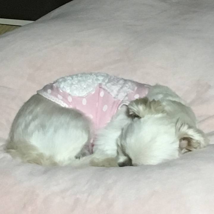 31f4e587 f402 4d73 ba3d 20a12d47ce3f