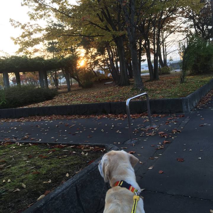 31f4e5c6 2245 4e73 b13e 80959807de8e