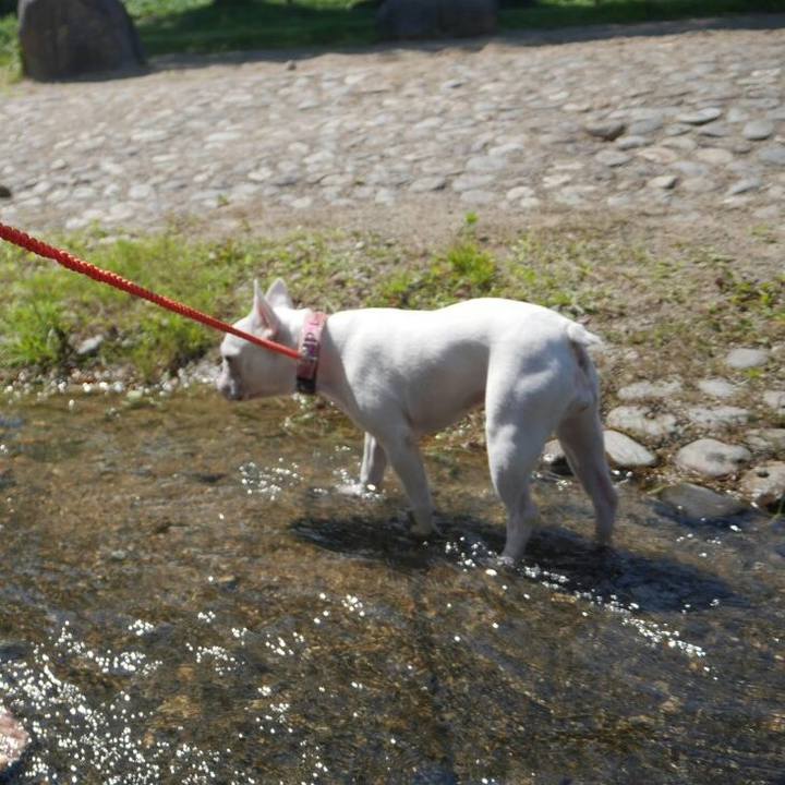 31f5013d 71e3 40bb 9cab 9f5169fe0fc1