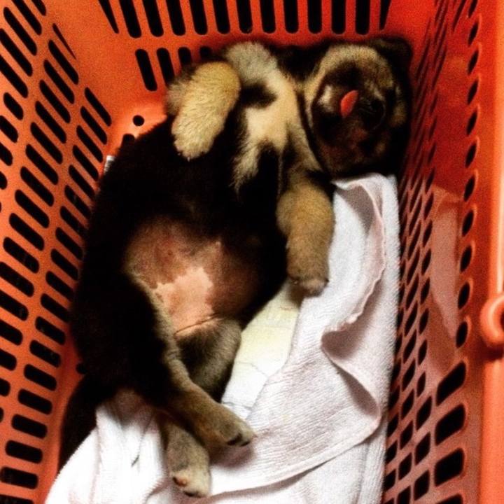 31f572ea a4cb 4464 a1ac 6a1cad7efb25