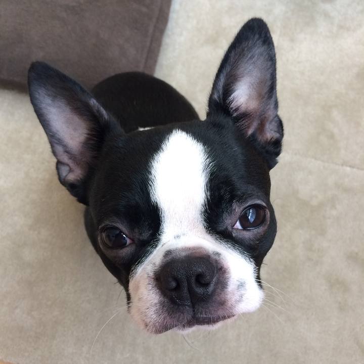 31f62fd7 f228 4639 832e d8ffe4168ab8