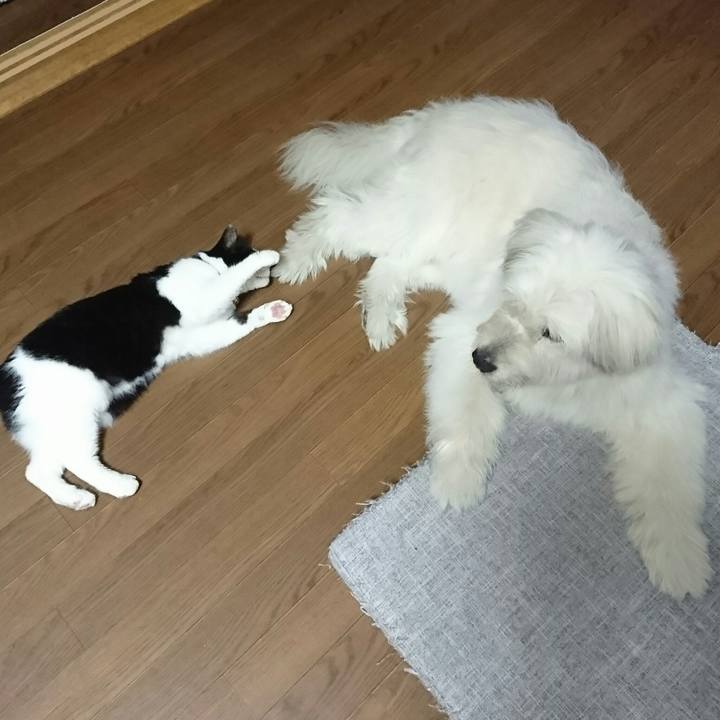 31f71bff e168 4bee 9406 2fc7f8d22ad9