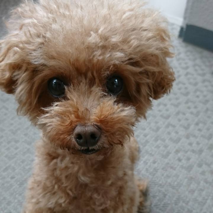 31f736b9 b912 4f40 bd2f 372cc8a90c72