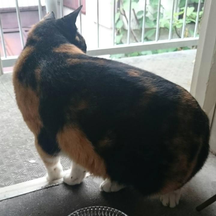 31f76d67 d5bd 4bfa b651 6731f4731034