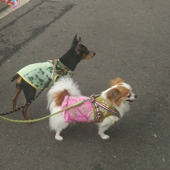 31f7a59e 83a8 4a08 85f4 110bd2b52cc2