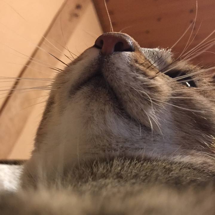 31f7c72a d50c 4e0b a56d 1d24237c0b8b