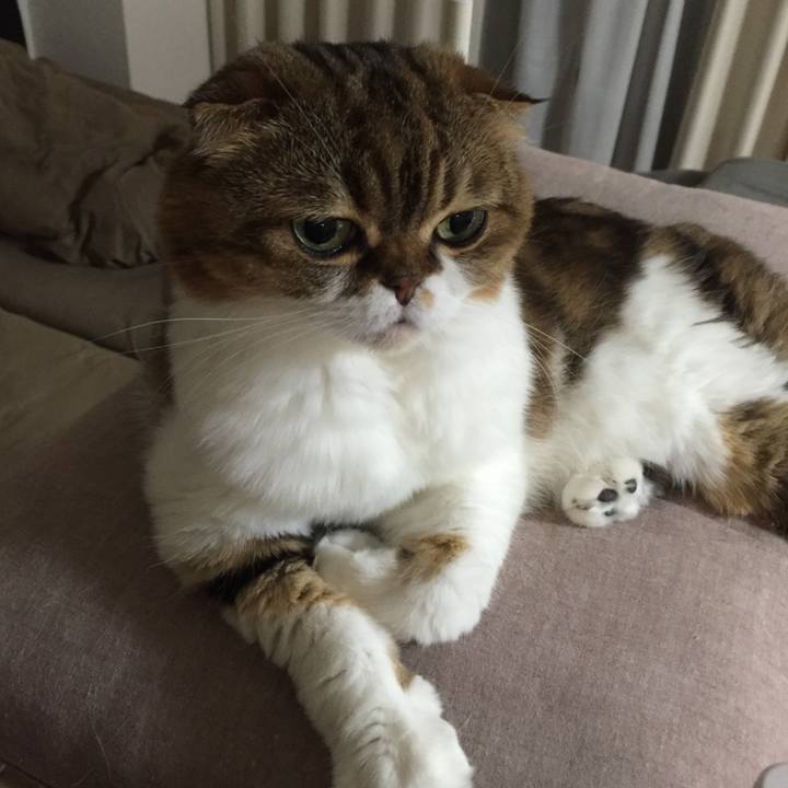 31f82157 7df6 4de3 a04e c9e9bd6aeb42