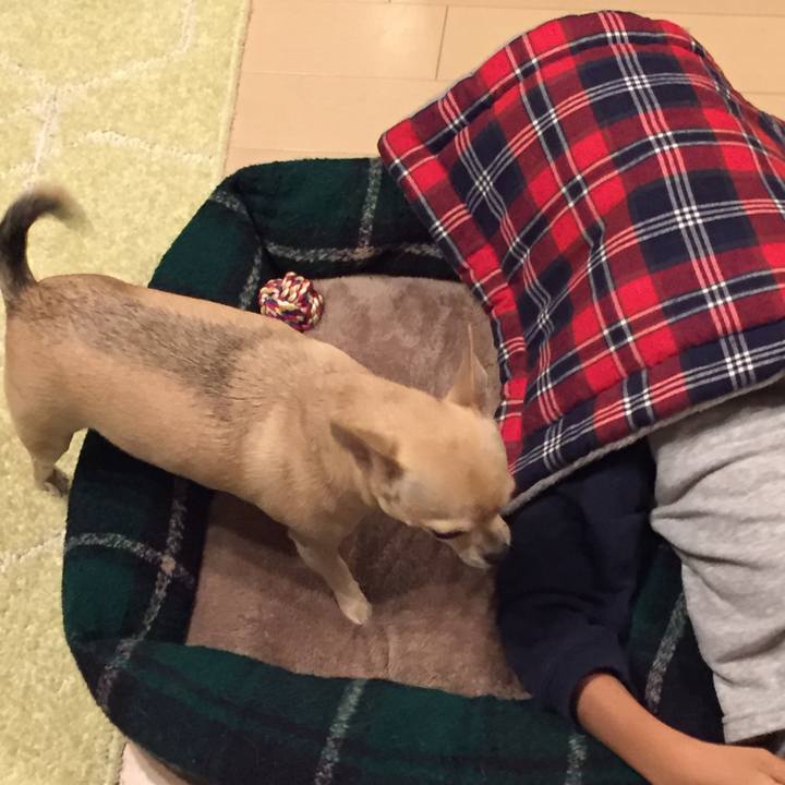 31f85513 d68e 4c16 9365 06d338f75945