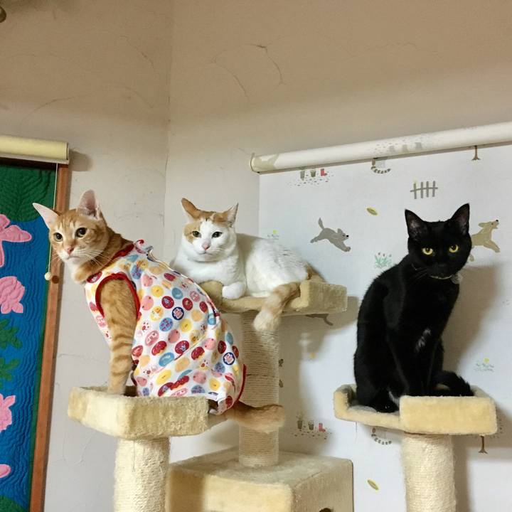 31f8bb62 58fe 4773 bac0 7db9f61a842d