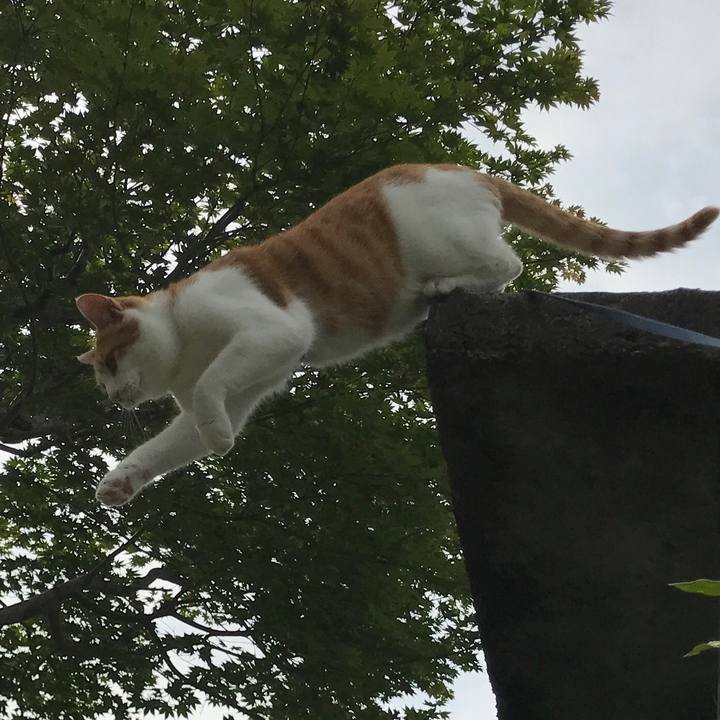 31f91887 fd02 40ab 819d ceb72c4109c8