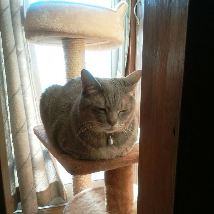 31fa8a19 03b1 4122 8653 8a15828ea796