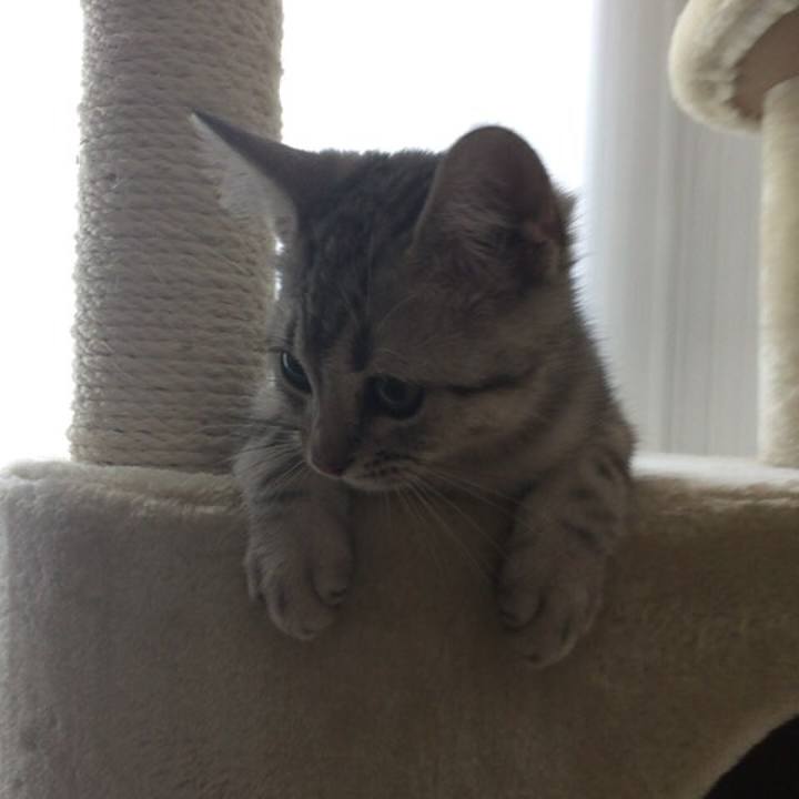 31fa956c 0f41 457c 9bdc 5753613262f9