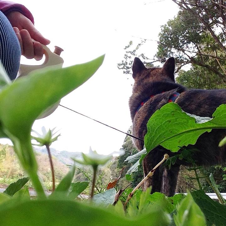 31fba163 6236 48a4 a5b1 18d0674e5878