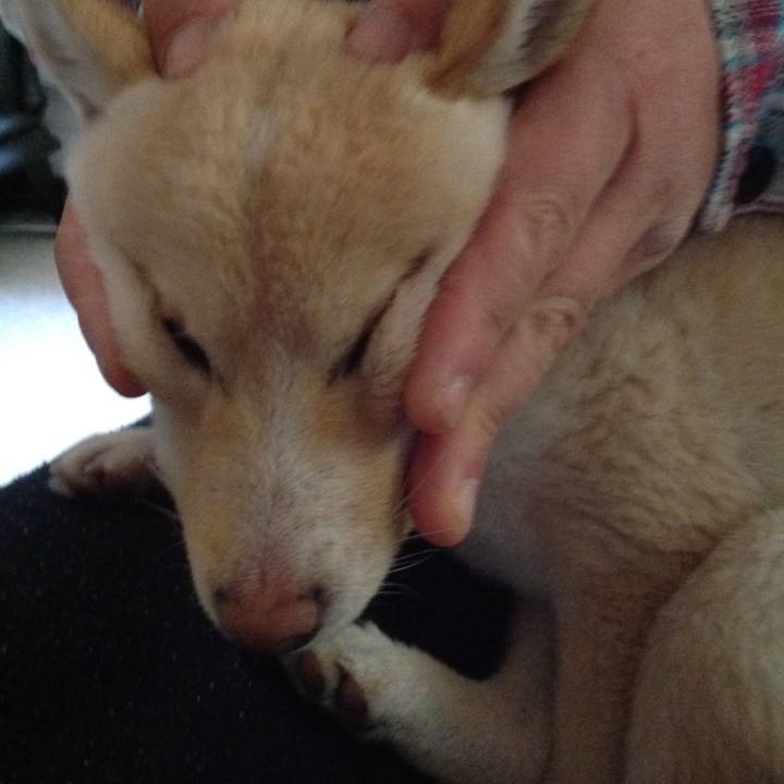 31fc7db1 9d44 41a2 b0f8 9419ca6e63f7