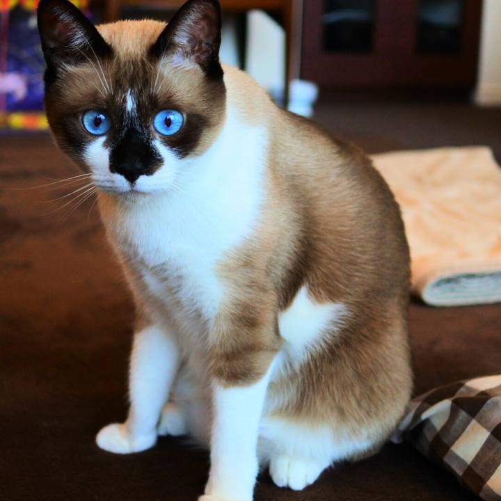 31fd32a2 c66a 4530 84a9 621ff4f7bad5