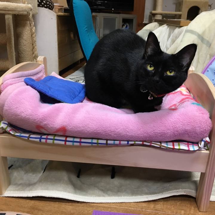 31fdda75 9700 4ea9 8bad 30d959c3aad9