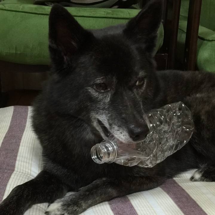 31fe302e 9f40 463b 95ed 0440e71fd07d