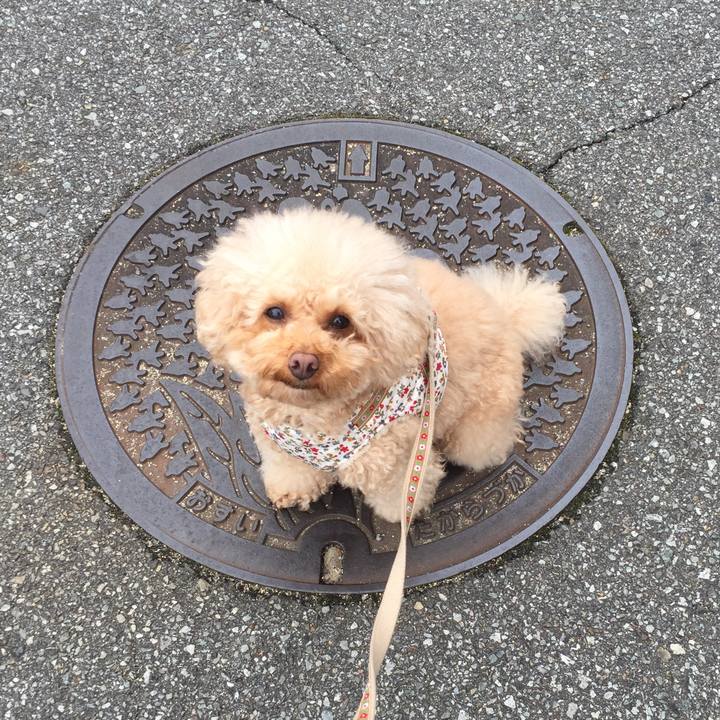 31fe4299 03b6 4255 a1d5 7782f4fac0a1